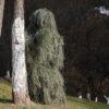 Hunting Ghillie Suit Camo Woodland Camouflage Forest 3D Tactical Suits Sniper Clothes Airsoft Military Hunting Outdoor Costume - Image 6