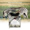 Tensdarcam PR-100 Hunting Camera 12MP Photo Trap 1080P Video Wildlife Trail Cameras 940NM Night Vision Outdoor Waterproof IP56 - Image 3